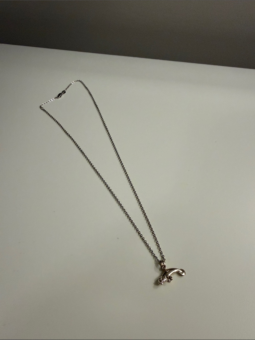 Delicate Sterling Silver Manatee Pendant Necklace - Women